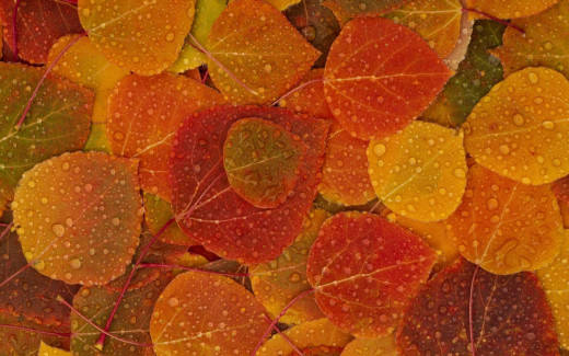 583478 (a): :1920x1200